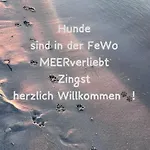 Lägenhet Hafenstrasse 34 Meerverliebt
