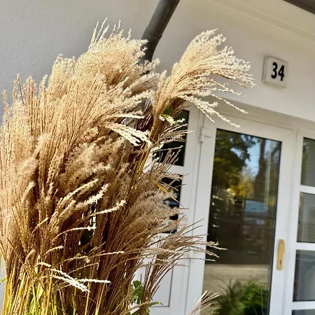 Hafenstrasse 34 Meerverliebt * Zingst